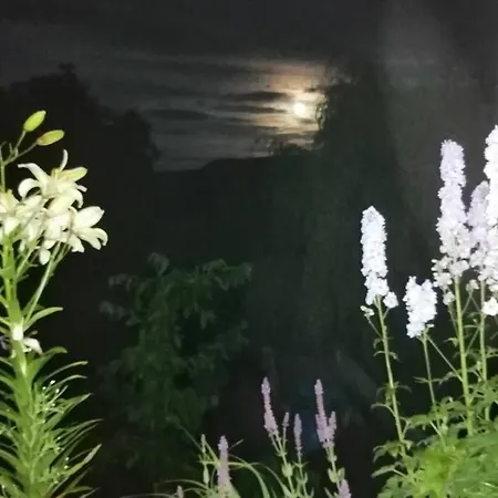 Nachhaltiges Wohnen In Seenaehe Apartamento