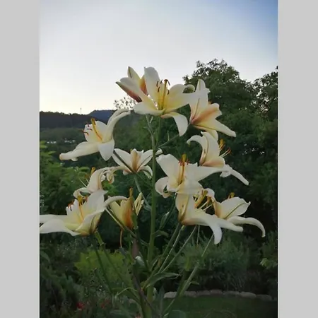 Nachhaltiges Wohnen In Seenaehe Apartamento Schoemberg (Zollernalbkreis)