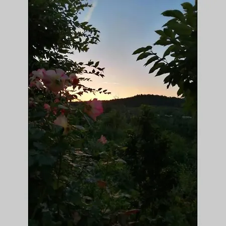 Nachhaltiges Wohnen In Seenaehe Apartamento *